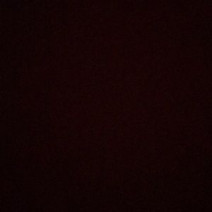 Meet your Posher, Daisy